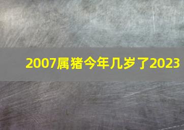 2007属猪今年几岁了2023