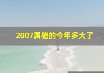 2007属猪的今年多大了