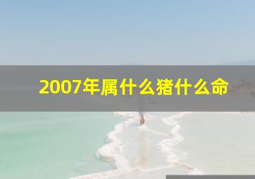 2007年属什么猪什么命