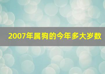 2007年属狗的今年多大岁数