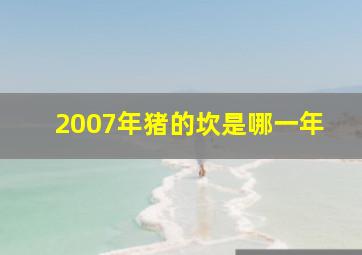 2007年猪的坎是哪一年