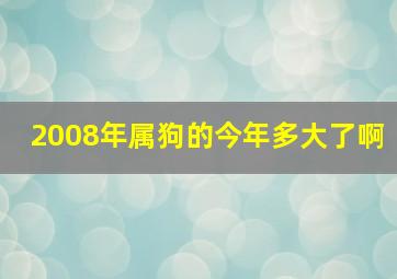 2008年属狗的今年多大了啊