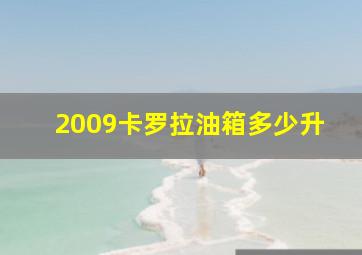 2009卡罗拉油箱多少升