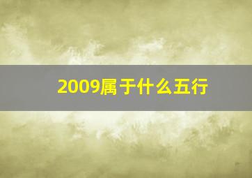 2009属于什么五行