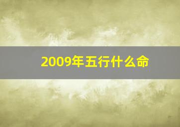 2009年五行什么命