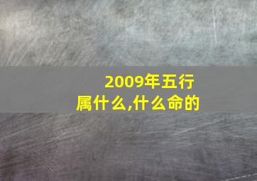 2009年五行属什么,什么命的