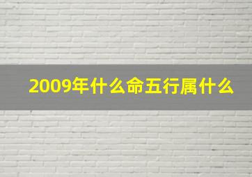 2009年什么命五行属什么