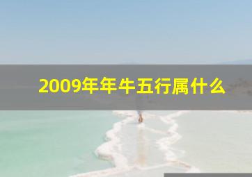 2009年年牛五行属什么