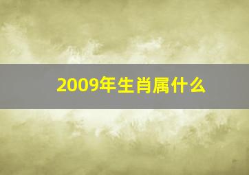 2009年生肖属什么