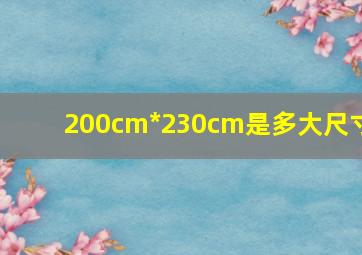 200cm*230cm是多大尺寸