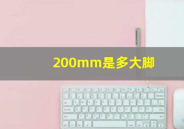 200mm是多大脚