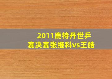 2011鹿特丹世乒赛决赛张继科vs王皓