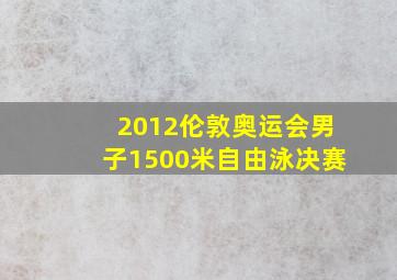 2012伦敦奥运会男子1500米自由泳决赛