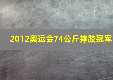 2012奥运会74公斤摔跤冠军