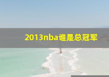 2013nba谁是总冠军