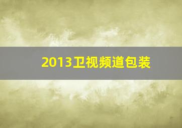 2013卫视频道包装