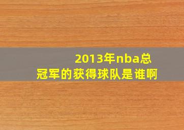 2013年nba总冠军的获得球队是谁啊