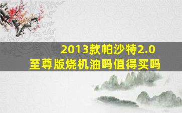 2013款帕沙特2.0至尊版烧机油吗值得买吗