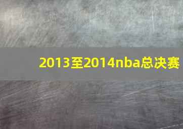 2013至2014nba总决赛