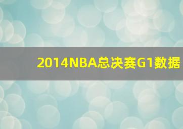 2014NBA总决赛G1数据