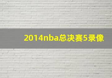 2014nba总决赛5录像