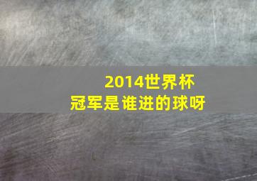 2014世界杯冠军是谁进的球呀