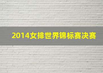 2014女排世界锦标赛决赛