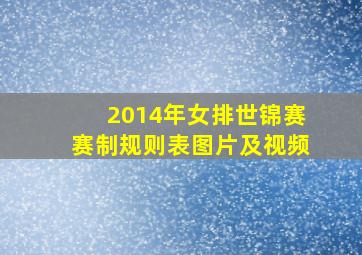 2014年女排世锦赛赛制规则表图片及视频