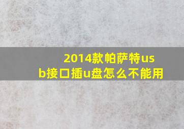 2014款帕萨特usb接口插u盘怎么不能用