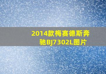 2014款梅赛德斯奔驰BJ7302L图片