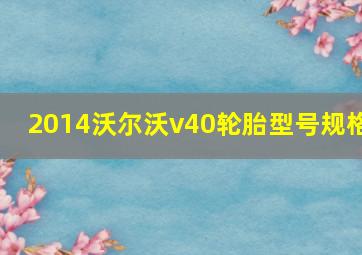 2014沃尔沃v40轮胎型号规格