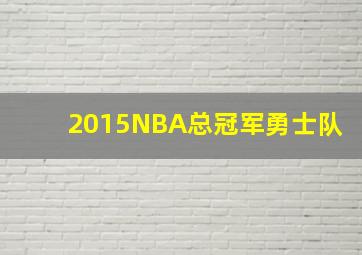 2015NBA总冠军勇士队