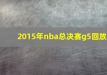 2015年nba总决赛g5回放