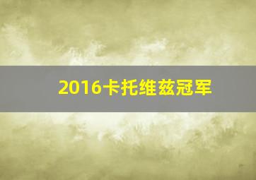 2016卡托维兹冠军