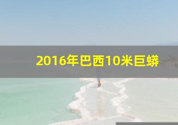 2016年巴西10米巨蟒