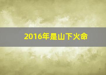 2016年是山下火命