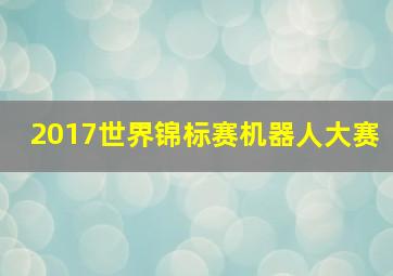 2017世界锦标赛机器人大赛