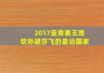 2017亚青赛王楚钦孙颖莎飞的最远国家