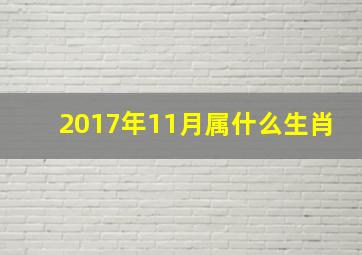 2017年11月属什么生肖