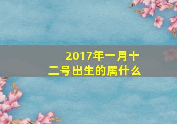 2017年一月十二号出生的属什么