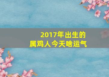 2017年出生的属鸡人今天啥运气