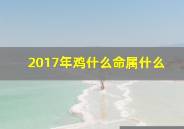 2017年鸡什么命属什么