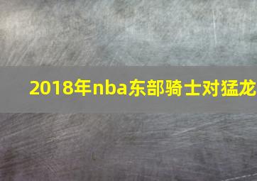 2018年nba东部骑士对猛龙