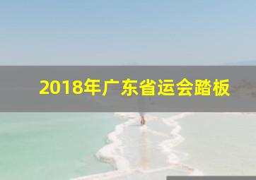 2018年广东省运会踏板