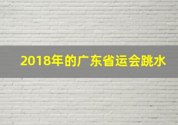 2018年的广东省运会跳水