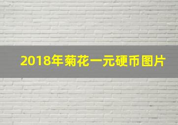 2018年菊花一元硬币图片