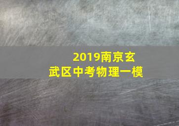 2019南京玄武区中考物理一模