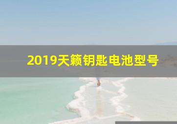 2019天籁钥匙电池型号