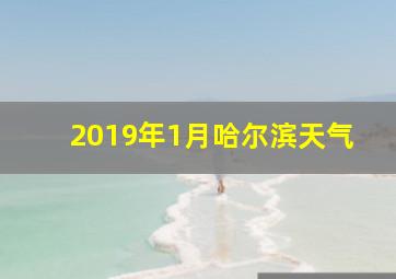 2019年1月哈尔滨天气