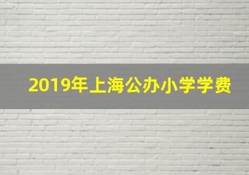 2019年上海公办小学学费